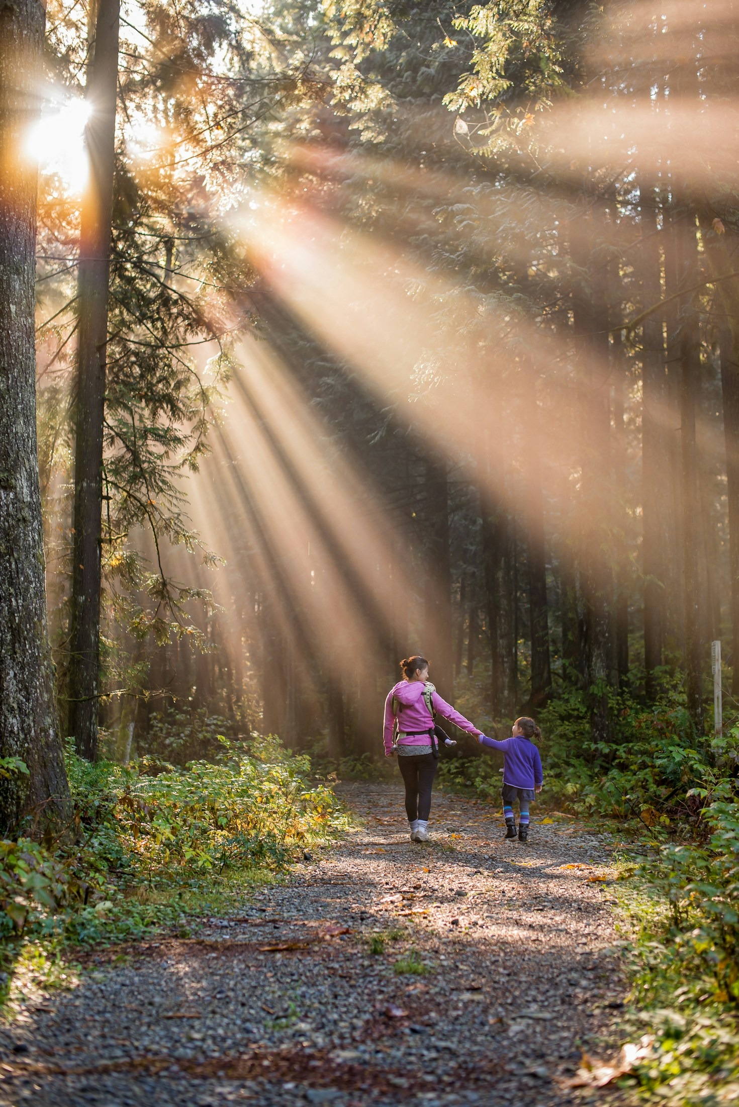 Eco-Conscious Caregiving: Small Steps, Big Impact